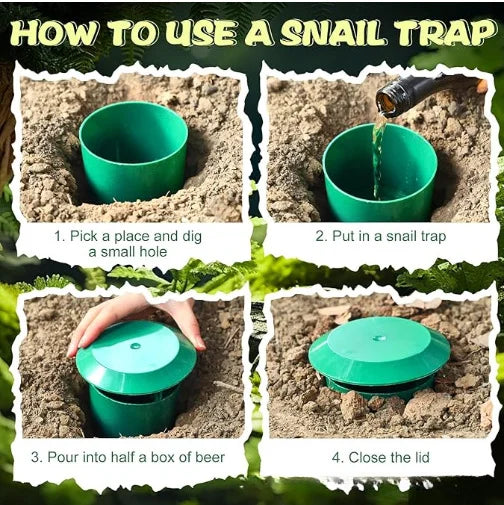 Plastic Snail Trap Cage, Reusable Snail Catcher Box, Garden Yard Farm Insect Trap Snail House Pest Control Tool